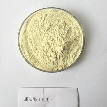 Lipase, triacylglycerol CAS 9001-62-1 - Image 2