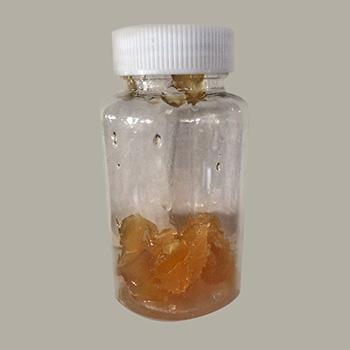 Methyl Trioctyl Ammonium Chloride CAS 5137-55-3